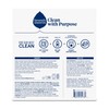 Seventh Generation Dishwasher Detergent Packs for sparkling dishes Free &