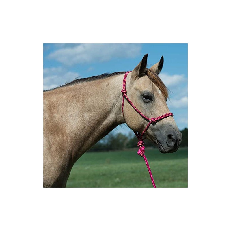 Weaver Equine Diamond Braided Horse Rope Halter with Lead