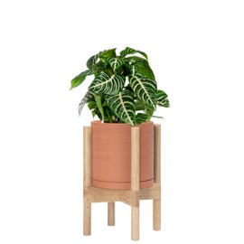 D'vine Dev Terracotta Planter with Natural Stand - 8 Inch Modern Round Flower Pot with Wood Planter Holder, Terracotta, 55-B-N-5