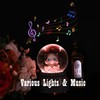 A.F.N.A.L Snow Globe with Light Gift, Crystal Musical Glitter Ball