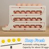 Egg Holder for 30 Eggs, Egg Holder for Fridge, Egg