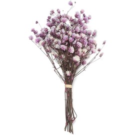 Mini Ramo de Flores Decorativas de Flores secas, Plantas Naturales preservadas Florales para Bodas, decoración del hogar, Morado