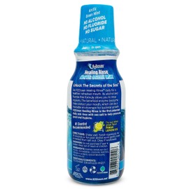 2 Pack H2Ocean Healing Rinse Mouthwash- Great Tasting Sea Salt & Xylitol Mouth Wash for Fresh Breath & Dry Mouth - Alcohol & Fluoride Free - Arctic Ocean Mint 16oz