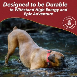 Ridge Ramblers Premium Heavy Duty Dog Collar with Quick Release Metal Buckle - 1.5in Wide Military Grade Tactical Dog Collar with Thick Soft Neoprene Lining and Reinforced Nylon