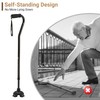 Dotday 2 Pack Cane Tips for Stability, Self Standing Cane