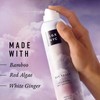 SGX NYC Dry Touch Volumizing Dry Shampoo - Paraben Free,