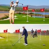 Riakrum 9 Pcs mini golf flags for yard 8.9 x