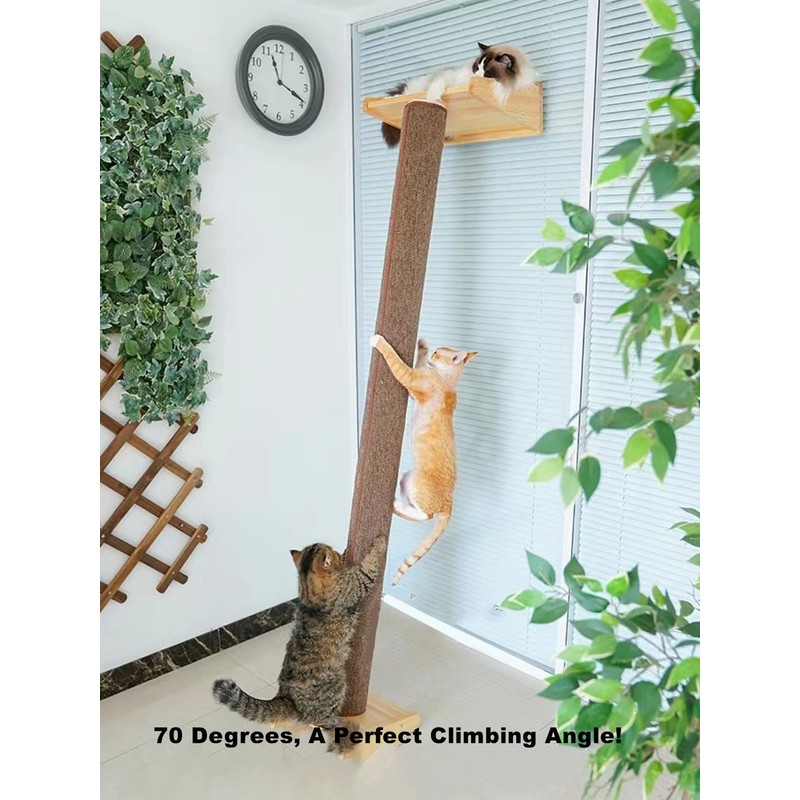 SHENGOCASE Modern 78.7“ Tall Leaning Cat Tree Tower Scratching Post