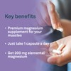Organika Magnesium Bisglycinate - 200mg, High Absorption, Muscle Recovery, Heart