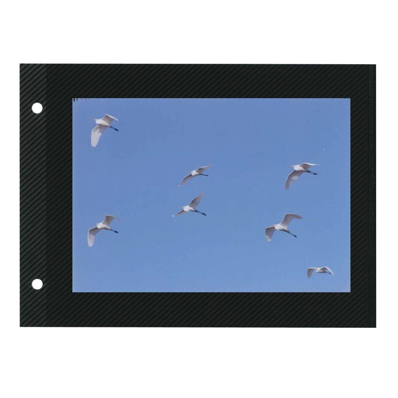 デルフォニックス PDフォトアルバム リフィル 粘着 (L判写真10枚)スカイブルー FBR1-SB