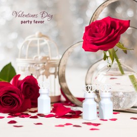 Big Mo's Toys 24 Value Pack Double Heart Wedding Party Favor Bubbles, Great for Celebrations, Anniversaries, Valentines Day, and Birthday Parties