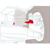 Tiny Force Set of 2 Rear Adjustable Camber Arms Kit