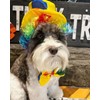 Midlee Clown Dog Costume Hat Wig & Bowtie