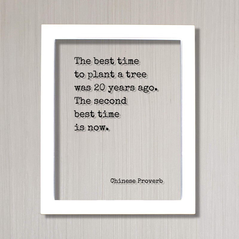 Chinese Proverb - Floating Quote - The best time to