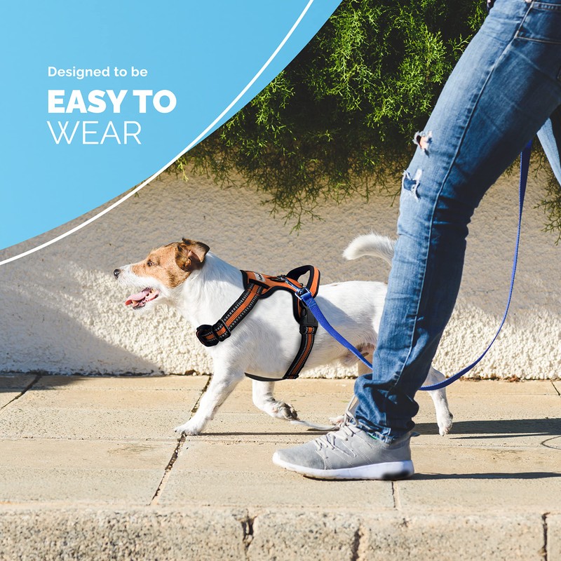 FurDreams Dog Harness – Secure Padded Vest Harness, Comfortable Material