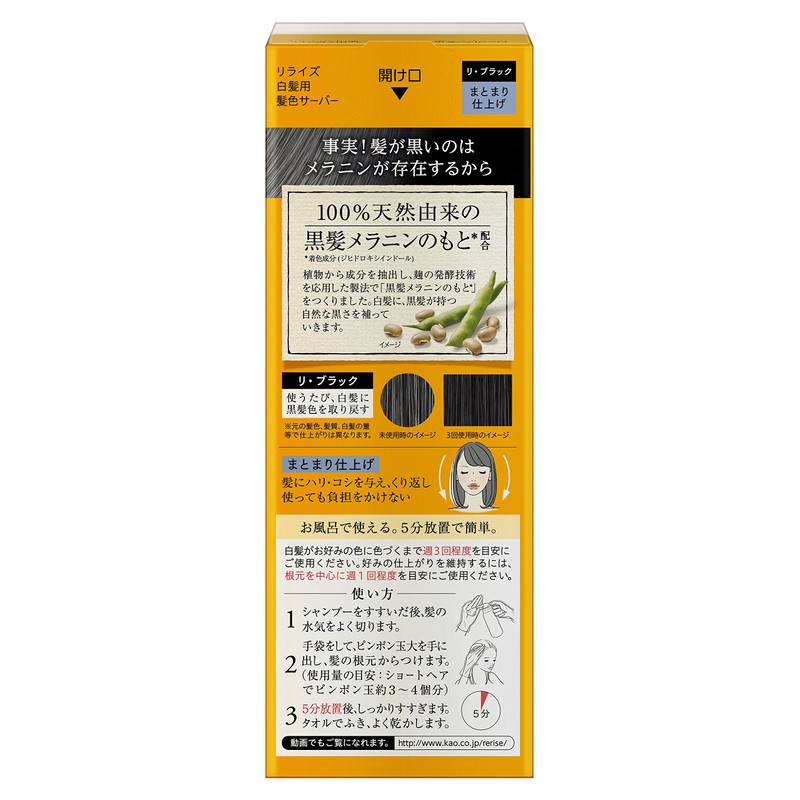 Relize Hair Color Server for Gray Hair Re-Black Unit, 5.5