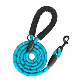 PoyPet Dog Lead Strong Dog Lead with Comfortable Padded Handle and Highly Reflective Threads for Small, Medium and Large Dogs (Blue)