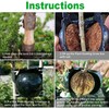 10Pcs Plant Rooting Device High Pressure Propagation Ball Root Grow