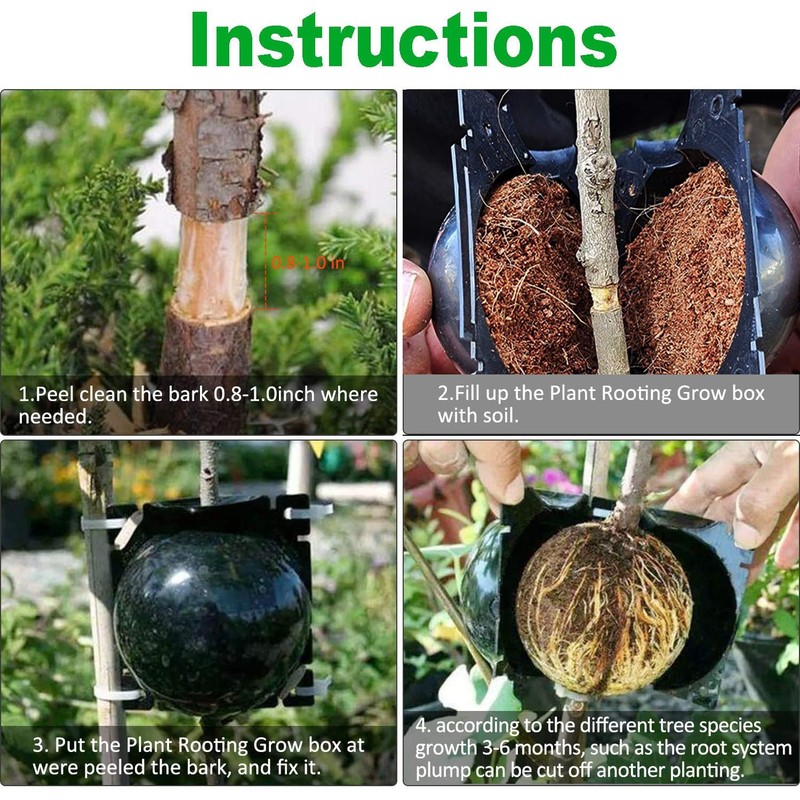 10Pcs Plant Rooting Device High Pressure Propagation Ball Root Grow