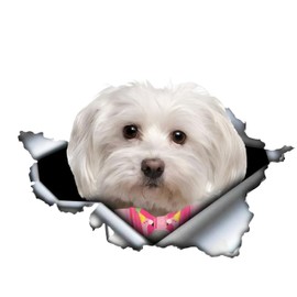 Car Sticker Maltese Sticker 15 cm (5.9 Inch) Maltese with Pink Bow Reflective Sticker 3D Ripped Car Sticker Pet Dog Funny Sticker Maltese Car Sticker Funny Decor