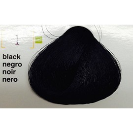 Salerm Vison Permanent Cream Haircolor (1 Black)