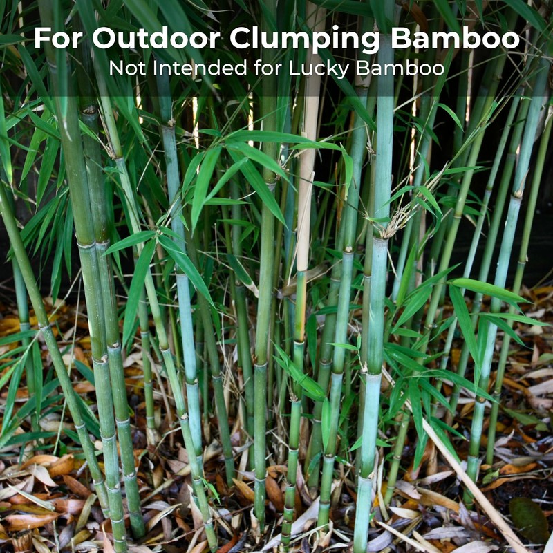Real Growers Bamboo Special 13-5-11 – 12-Month Slow-Release Fertilizer for