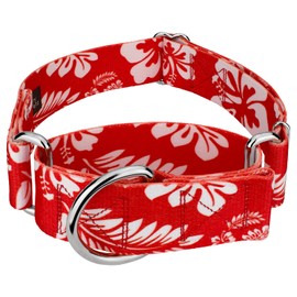 Country Brook Petz - HossFit Jr Wide Martingale Dog Collar - Summer Breeze Collection Featuring Sunny Designs (Red Hawaiian, Large)