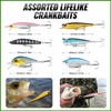 Kit de Pesca Iron Tree de 102 señuelos para Agua
