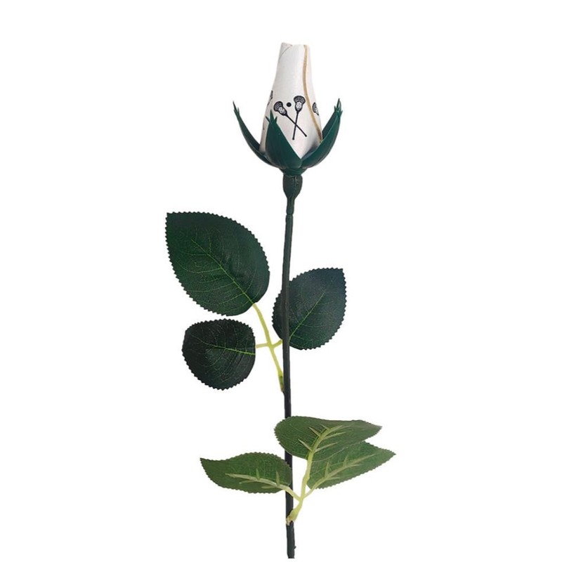 Lacrosse Rose