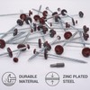 SKIR'CO (15 pcs) Painted 5.0 x 100 mm Wood Screws