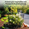 Wire Plant Protector from Animals 5 Packs - 14" H
