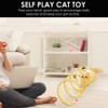 Cat Tunnel Spring Toy, Self Play Cat Toys Collapsible, Hunting