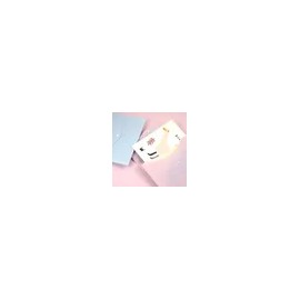 Storage Organizer, Office A4 seoryu File Folder Students ttokttaki Portable File Holder Pastel for home organization and desk space-saving household accessory