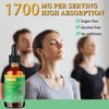 Mosslly Mosslly 1700mg Mullein Drops for Lungs, Organic Mullein Leaf