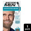 Just For Men Moustache & Beard Brush-In Colour Gel M-25