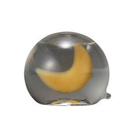 Chatani Sangyo 333-409 Storm Glass Dome Crescent Moon W2.4 x D2.4 x H2.0 inches (6 x 6 x 5 cm) "FunScience"