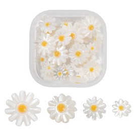 PandaHall 20pcs Natural Freshwater Shell Flower Beads in 4 Sizes Daisy Shell Spacer Loose Beads Floral Beads Charms for Hawaiian Bracelet Necklace Earring Hair Accessories