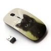 KawaiiMouse [ Optical 2.4G Wireless Mouse ] cute painting kitten