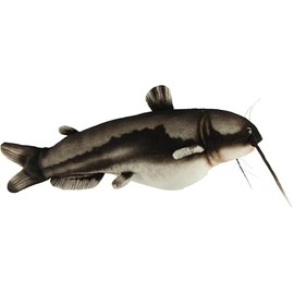 BH8582 HANSA Catfish 37