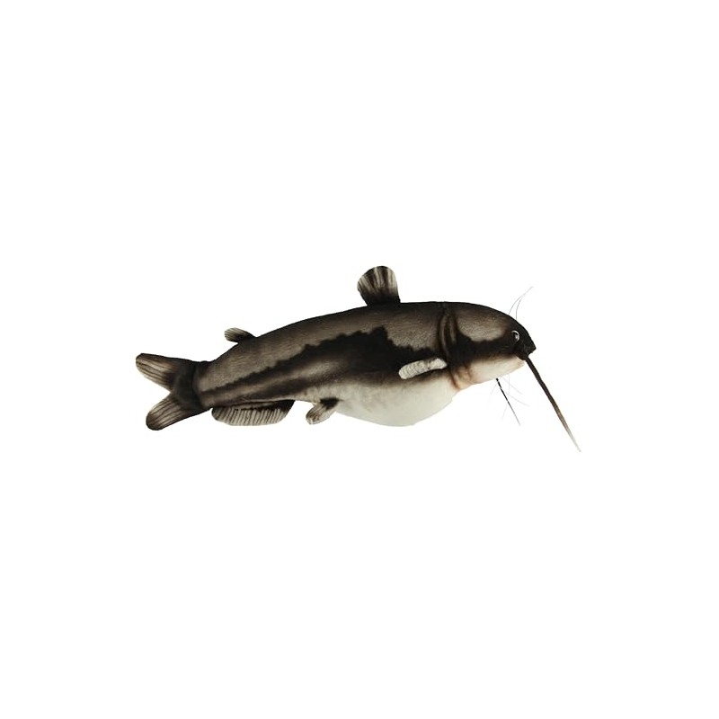 BH8582 HANSA Catfish 37