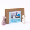 Bergin & Bath Needle Felting Kit, Mice. DIY Craft kit