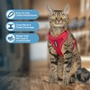 Best Pet Supplies Voyager Escape Proof Cat Harness and Leash