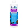 Poolife Intensive Stain Prevention - 1 qt.
