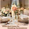 HTTBEIZI 40 Pack Glass Bud Vases in Bulk, Clear Small