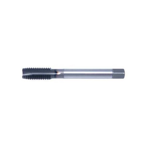 Strt Flute Tap, Plug, 1/4-28, Hard Lube