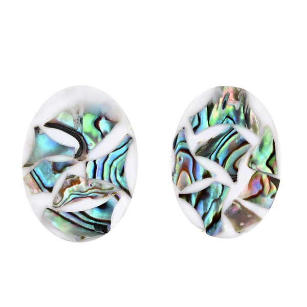 AeraVida Handcrafted Ocean Inspired Abalone Shell Shards in White Resin