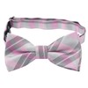 Alizeal Boys Stripe Fun Novelty Pre-tied Kids Bow Tie, Pink+Gray