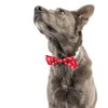Huxley & Kent Pet Bow Tie for Dogs & Cats