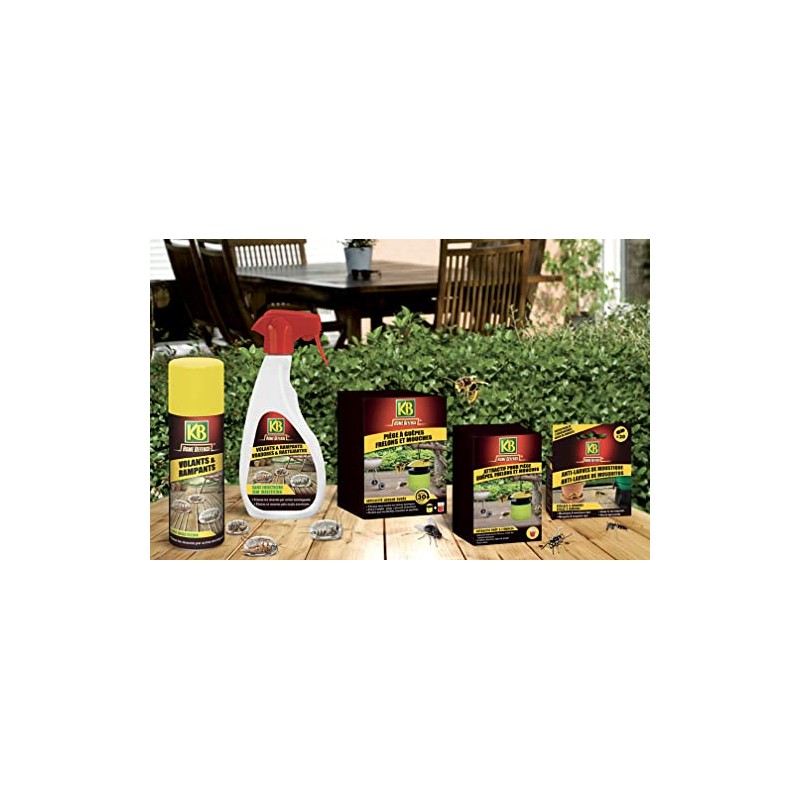 KB Home Defense PIEGE A GUEPES FRELONS ET MOUCHES X6