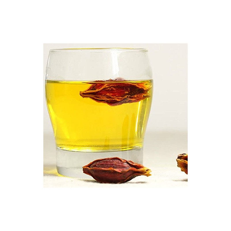 Gardenia Fruit - Dried Gardenia Fruit from 100% Nature (8